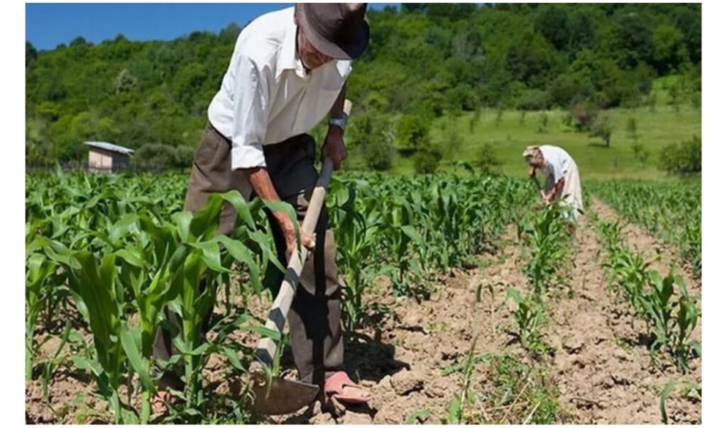 Sancionada lei que amplia acesso de agricultores familiares ao Garantia-Safra